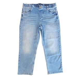 J.Jill High Rise Straight Leg Light Wash Denim Cropped Jeans